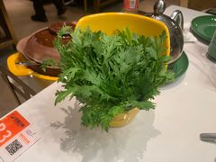 -润园四季椰子鸡火锅(欢乐海岸店)
