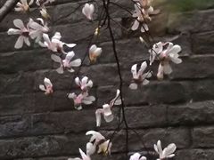 -东华门大街小区
