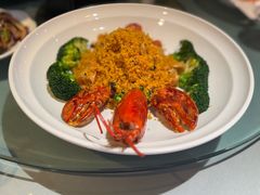 -北京紫金宫饭店