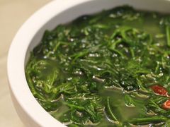 上汤野苋菜-四海酒家生态粤菜