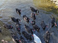 -长白岛森林公园