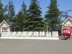 -日照海滨国家森林公园