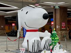 -哈尔滨热雪奇迹