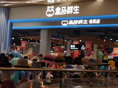 门面-盒马鲜生(丁香国际店)