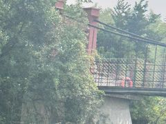 -宜兴龙背山森林公园