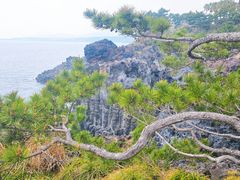 -柱状节理带