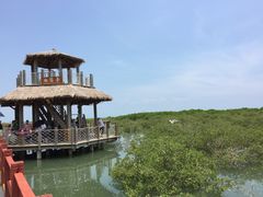 景点-北海金海湾红树林生态旅游区