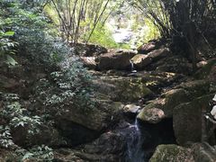 -大雁山风景区