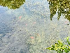 -成都市活水公园