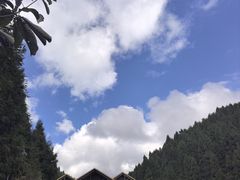 -武陵山森林公园