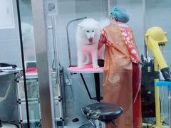 -宠福鑫康馨动物医院·骨科·眼科
