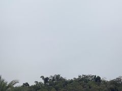 -野狸岛
