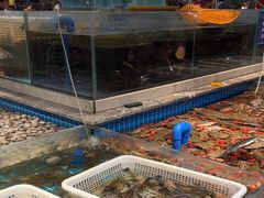 -一方渔歌蒸汽海鲜自助(文化路万达广场店)