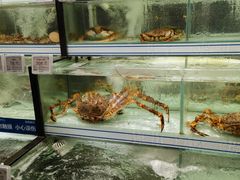 -胖东来生活广场(健康路店)