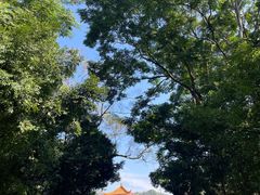 -深圳仙湖植物园