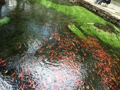 -水磨沟公园
