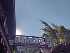 -野象谷景区