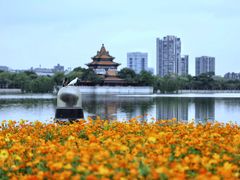 -顺峰山公园