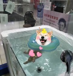 点击看大图 -爱生活·产后修复·婴幼儿游泳馆