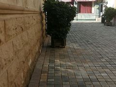 -北京张裕爱斐堡酒庄