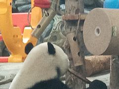 -武汉动物园