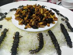 -大笮风(体育馆总店)