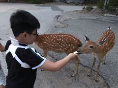 -清迈夜间动物园