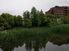 -吴淞炮台湾湿地森林公园烧烤区