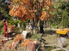 -HERRE·FARM 赫尔露营农场·团建聚会包场