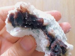 -老回回饺子馆(海洋馆店)