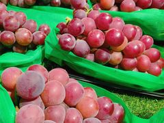 精品藤引葡萄-新隆嘉优选超市(宁山东路店)