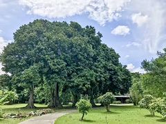 -中国科学院西双版纳热带植物园