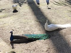 -哈尔滨北方森林动物园