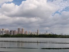 -放鹰台遗址