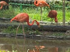 -贵州森林野生动物园