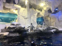 -华夏文旅海洋公园