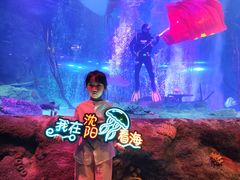 -沈阳海洋探索中心