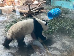 -石家庄市动物园