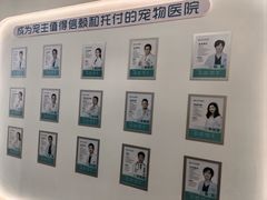 -贝利宠物医院·骨科·眼科·肿瘤转诊中心(南坪诊疗中心)