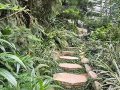 -南山植物园