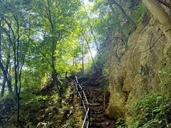 -王顺山国家森林公园