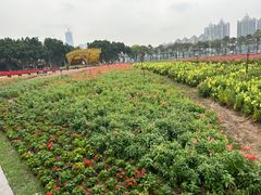 -海心沙亚运公园