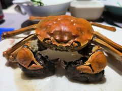 阳澄湖大闸蟹-悦鼎汇海鲜姿造