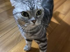 -爱侣宠医·鹦鹉专科·小型哺乳类·异宠专科(灵石路店)