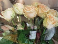 -北边的花店(泛悦城市广场店)