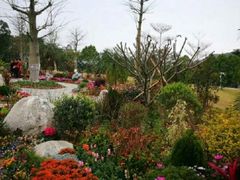 -东莞植物园