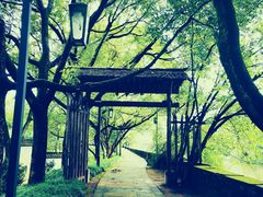 -兰亭风景区