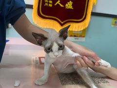 -嘉馨宠物医院·CT影像转诊·心脏科·犬猫全科诊疗中心(下沙大学城院区)