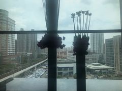 -环球港凯悦 · 享悦中餐厅