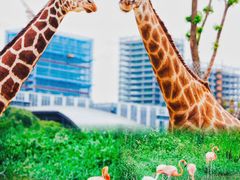 -杭州野生动物世界